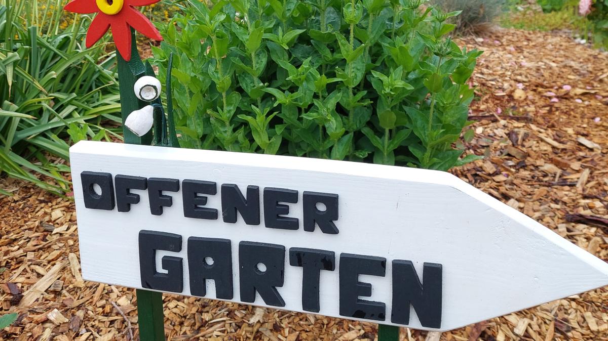 Tag des offenen Gartens 2024 Gärten in Nordfriesland machen mit SHZ