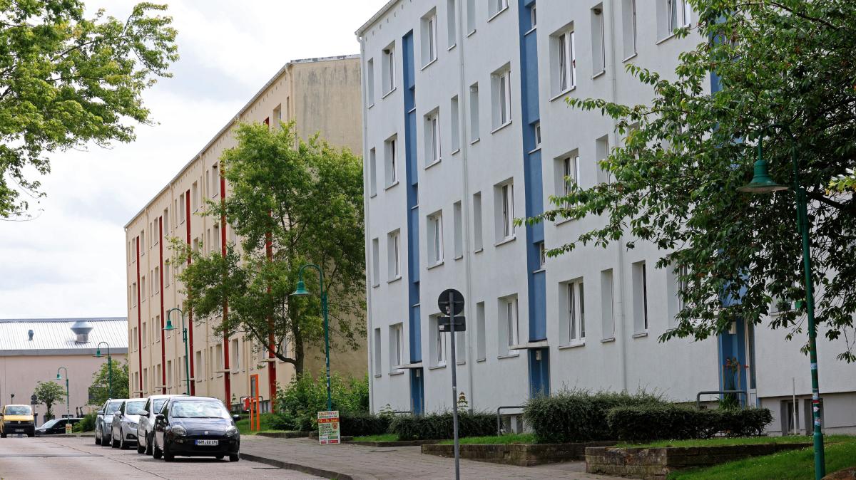 Grevesmühlen: Attacke auf ghanaische Kinder – Vater äußert sich | NOZ