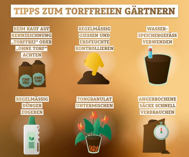 Gute Blumenerde erkennen Welche Erde ist wofür SVZ