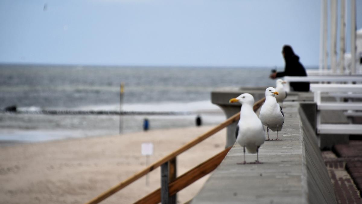 wetter auf sylt 7 tage