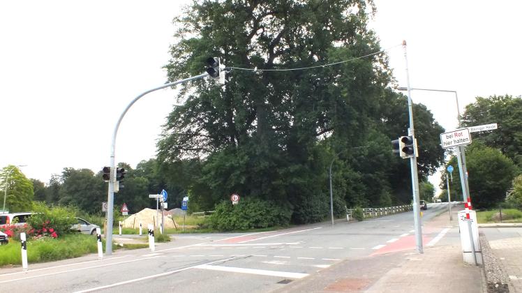 Fallen noch mehr Bäume für das Voxtruper Baugebiet Grüner Garten?