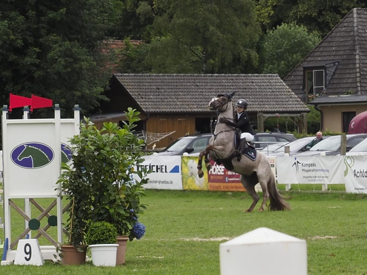 Grande: Warum diese Weste im Reitsport Leben retten kann