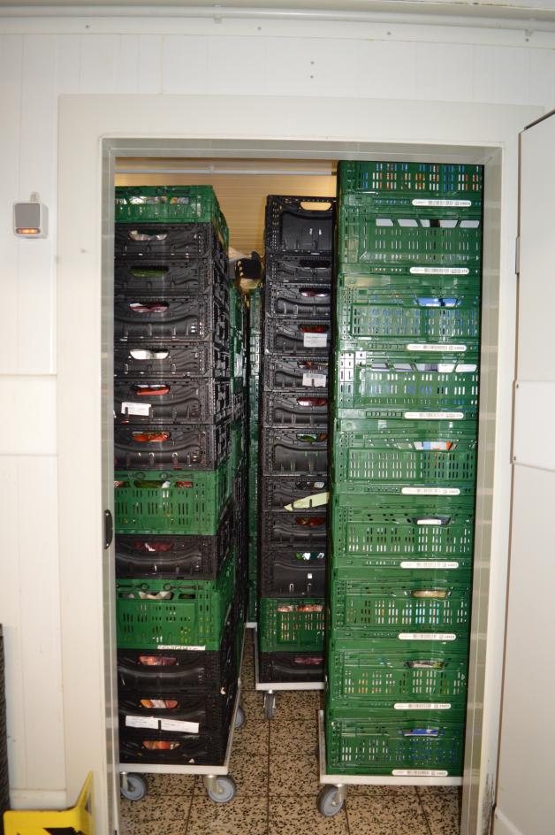 Khlschrank Legen Transport