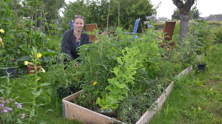 Garten in Rendsburg So wird die Ernte besonders ergiebig