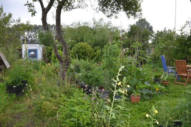 Garten in Rendsburg So wird die Ernte besonders ergiebig