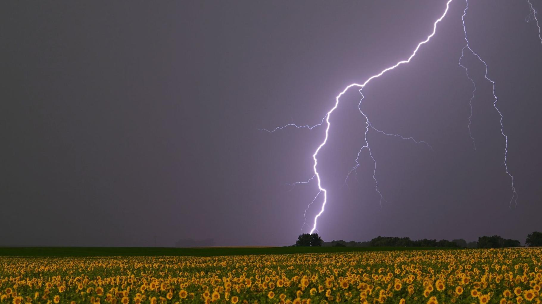 Neue Gewitter mit Starkregen, Sturm und Hagel in MV