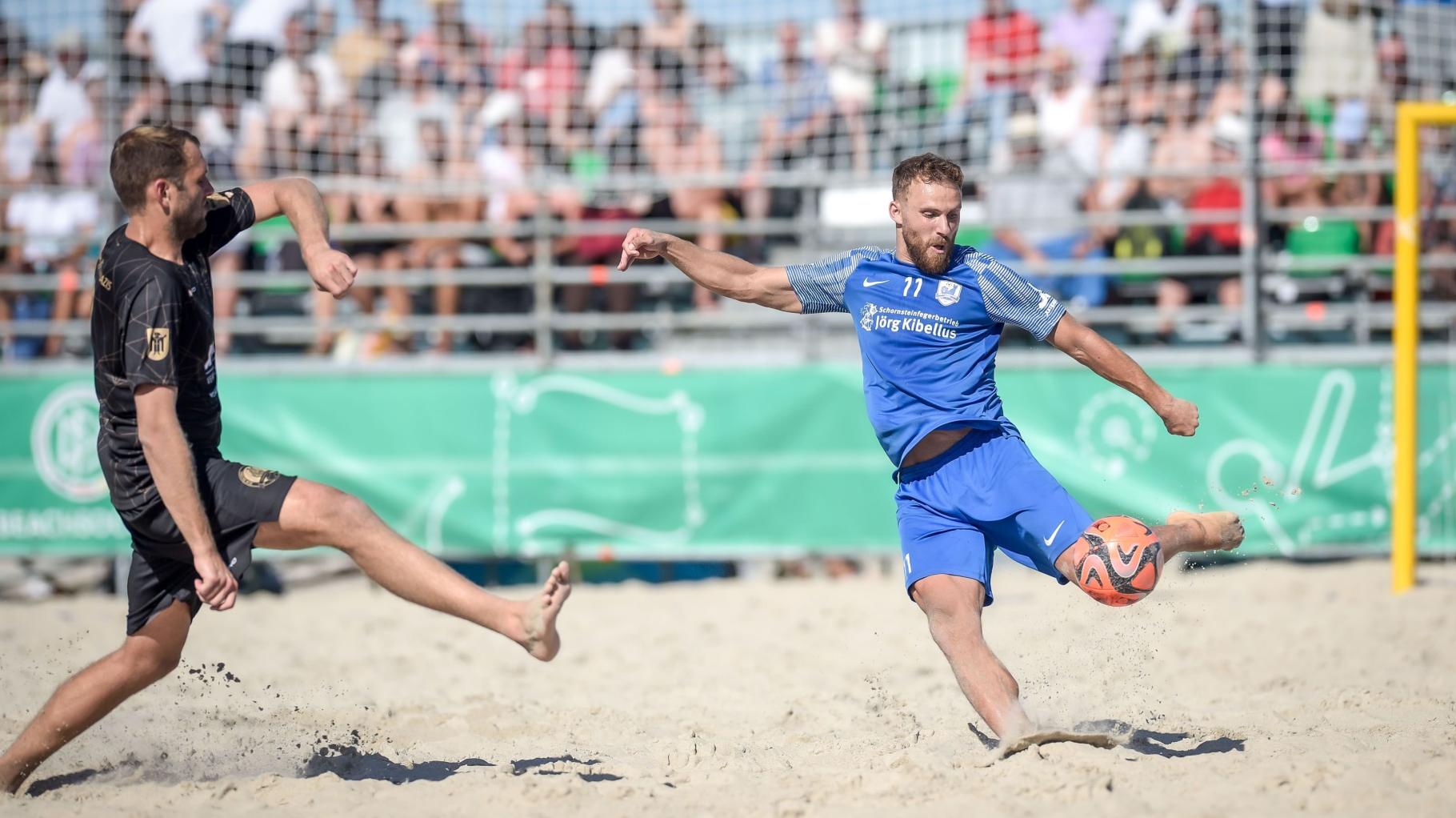 Rostocker Robben lassen den Strand in Warnemünde zweimal beben