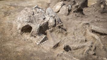 6000 Jahre altes Totenhaus bei Ilberstedt entdeckt