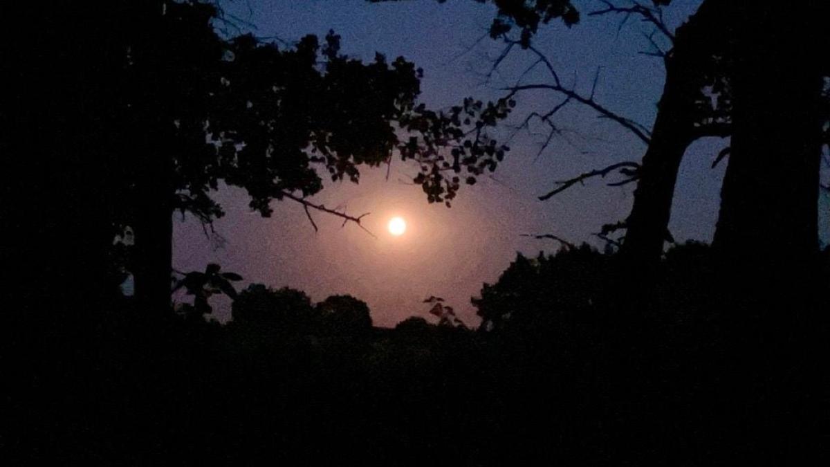Sieben Frauen nachts allein im Wald: So fühlt sich eine Vollmondw