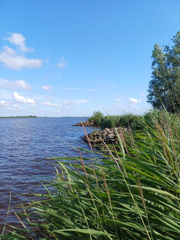  Holland im Nationalpark Lauwersmeer