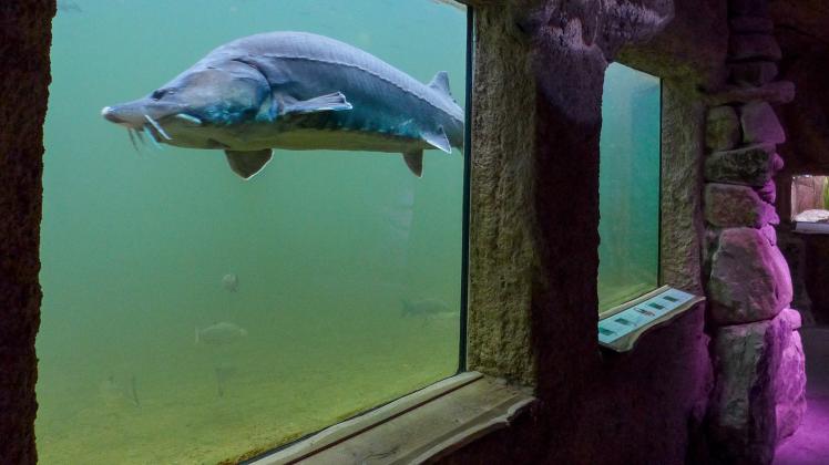 Die 5 schönsten Sommer-Ausflugsziele im Kreis Steinfurt Die 5 schönsten Sommer-Ausflugsziele im Kreis Steinfurt