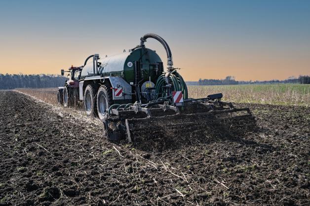 rotbuchenhecke düngen Rotbuchenhecke | kaufen