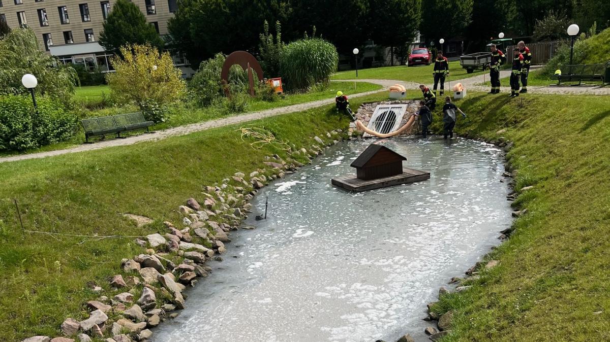 Teich an der SchüchtermannKlinik in Bad Rothenfelde verschmutzt