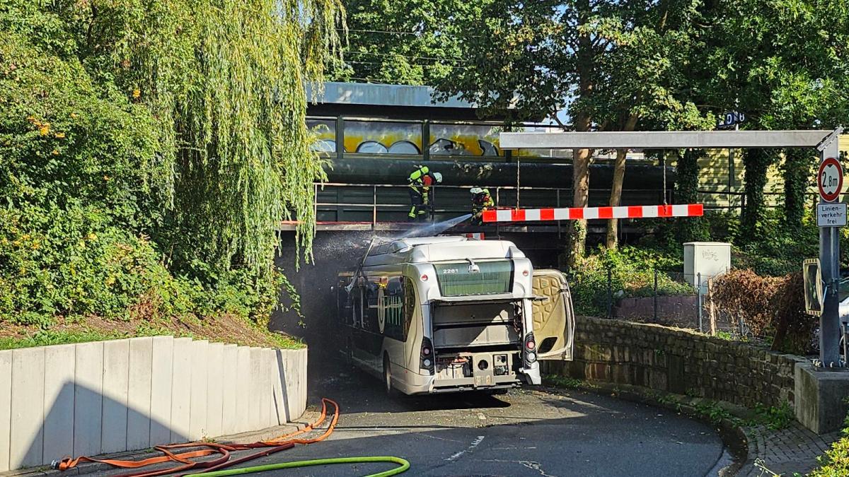 How could the accident in the Elmshorn railway tunnel happen?