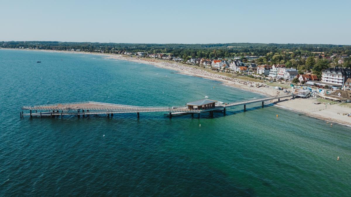 Tik Tok Pulpito Reversible Video Pulpito De Tik Tok Precio Pulpo