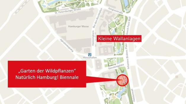 Warum es in Hamburgs City-Park Planten un Blomen jetzt wild wird