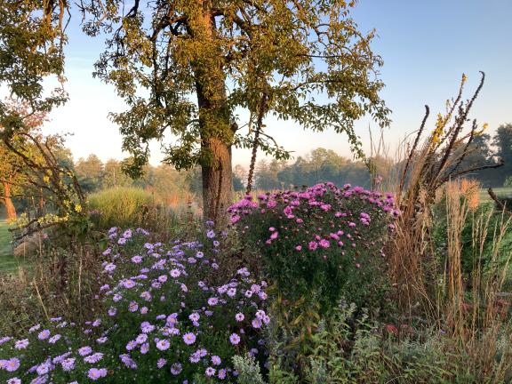 Üppige Beete im Herbst