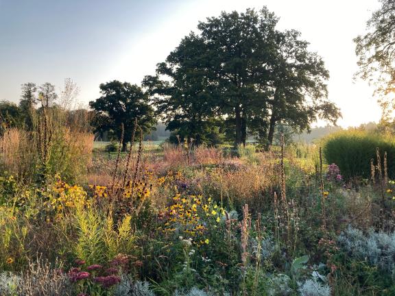 Dieses Beet ist das Ergebnis vieler Jahre Gartenerprobung: Deshalb ist es bunt und wild. Ob man es wieder so anlegen würde? Nicht unbedingt. Aber sieht dieser Mix aus Stauden und Gräsern nicht dennoch attraktiv aus?