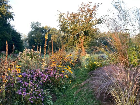 Zugegeben: An diesem Morgen war das Licht besonders. Aber in diesen Pflanzungen ist der Herbst auch bei schlechterem Wetter noch mal ein Höhepunkt.