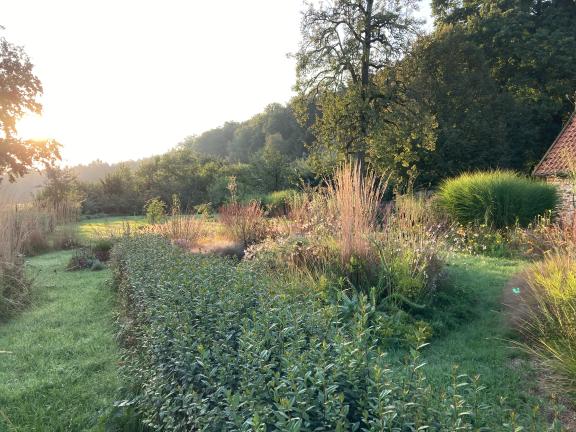 Klar, die Ligusterhecke hätte vor dem Foto gerne mal zum Friseur gehen dürfen, aber vielleicht wird auch so klar, dass hier mit klaren Strukturen und überbordendem Wachstum optisch gespielt wird.