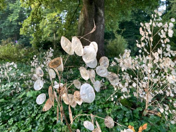 Garten im Herbst