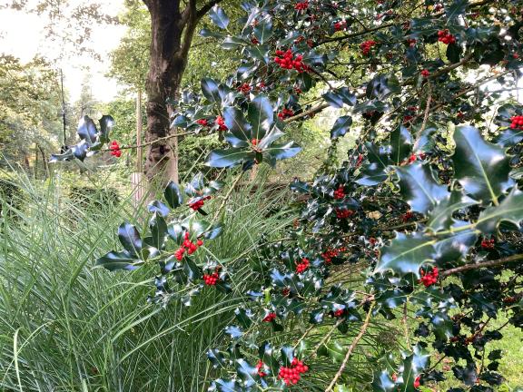 Garten im Herbst