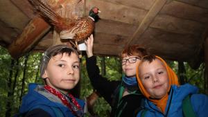 Wir begleiteten Schüler der 4b der „Schule an der Treene“ in Friedrichstadt bei den Jugendwaldspielen im Lehmsieker Wald.