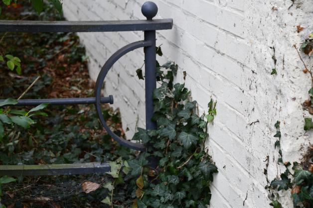 glckskastanie kaufen Glckskastanie kaufen  Mein schner Garten Shop