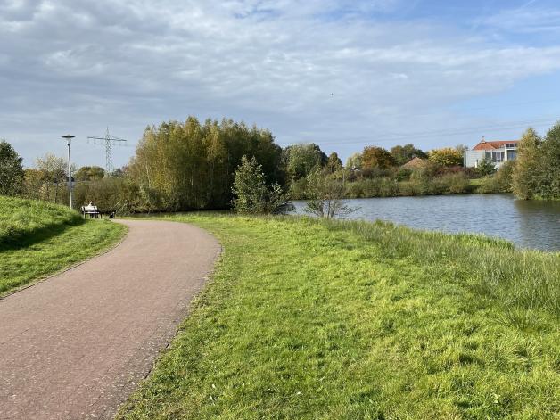 Auf Der Hasesee Insel Ab Montag Werden B ume Gef llt auf-der-hasesee-insel-ab-montag-werden-b-ume-gef-llt