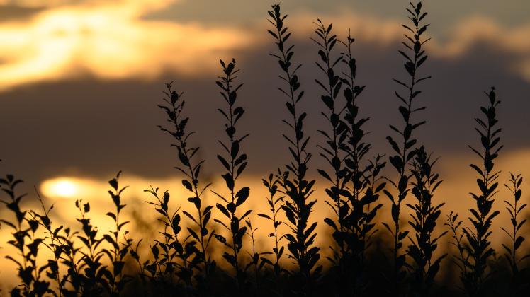 So Wird Das Wetter In Niedersachsen: Wie Lange Bleibt Es Noch So Mild?