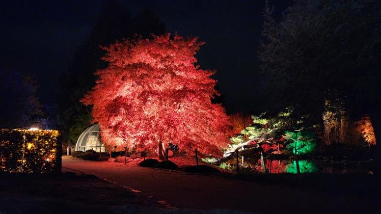 Herbstfest Mit Illumination Arboretum Ellerhoop 25. Okt