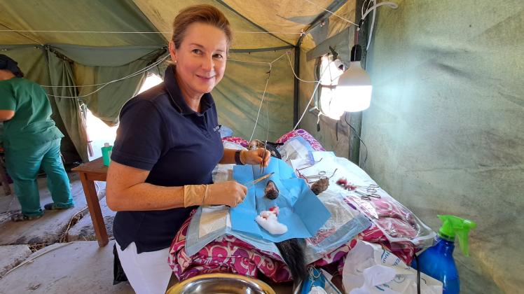 Pinneberger Tierrztin kastriert Straenhunde in Usbekistan