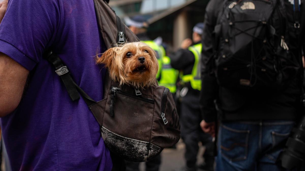 Bombenr-umung-in-Osnabr-ck-Das-geh-rt-ins-Notgep-ck