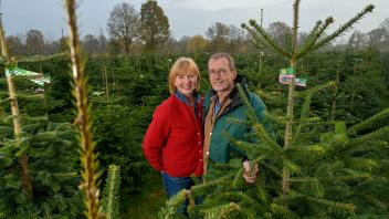 Tannenhof Bornholdt in Lutzhorn - Biologische Weihnachtsbäume