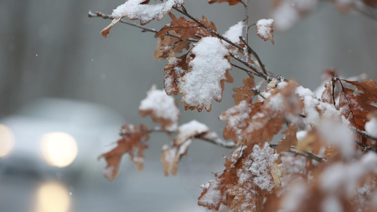 erster-schnee-am-wochenende-wo-es-in-niedersachsen-wei-werden-k-nnte