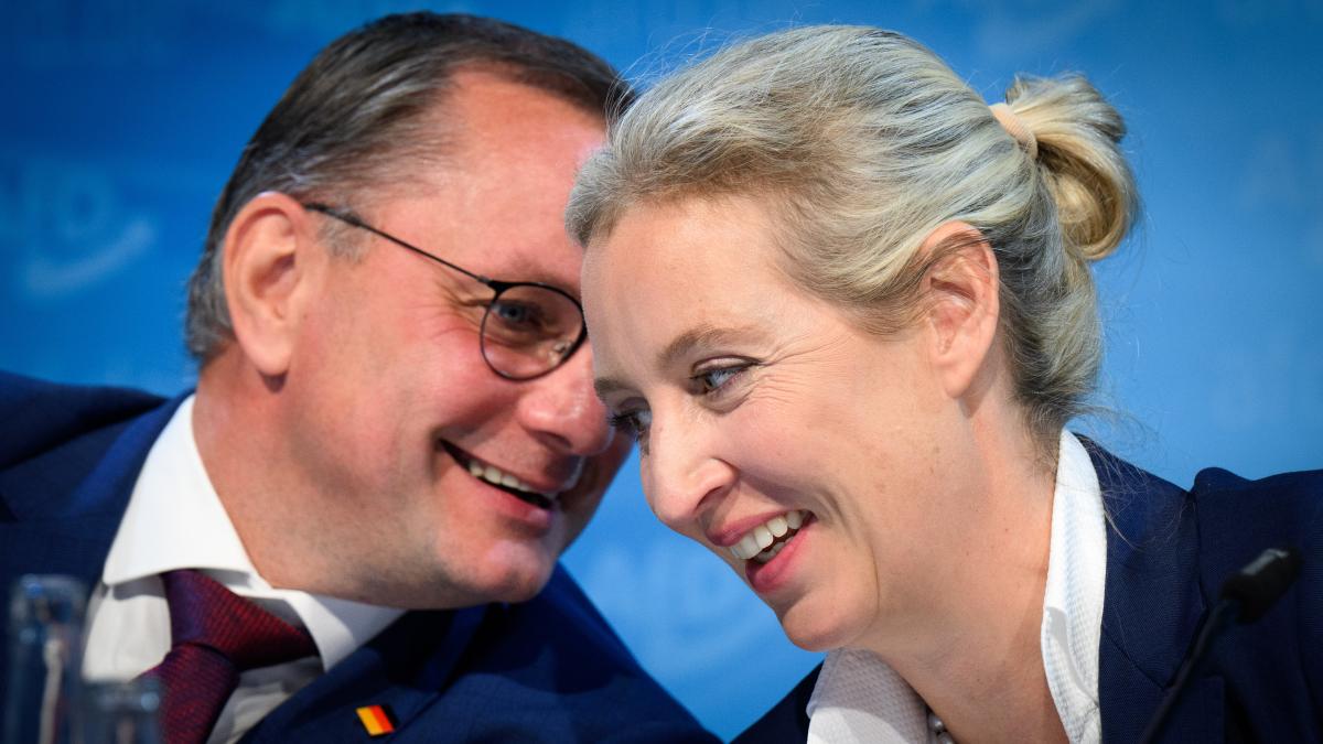 -trumps-wahl-d-rfte-der-afd-r-ckenwind-geben-was-der-ampel-bruch-f-r-weidel-und-co-bedeutet