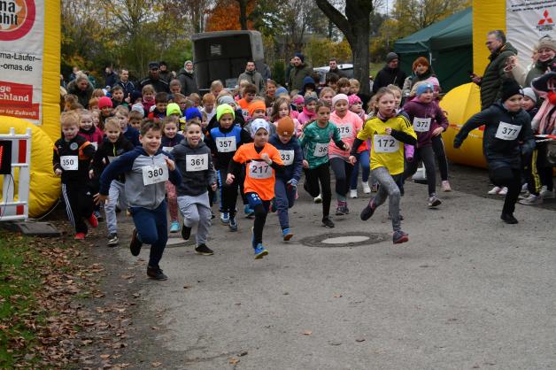 140 Schüler machten sich auf die zwei Kilometer lange Strecke des Bambinilaufs.