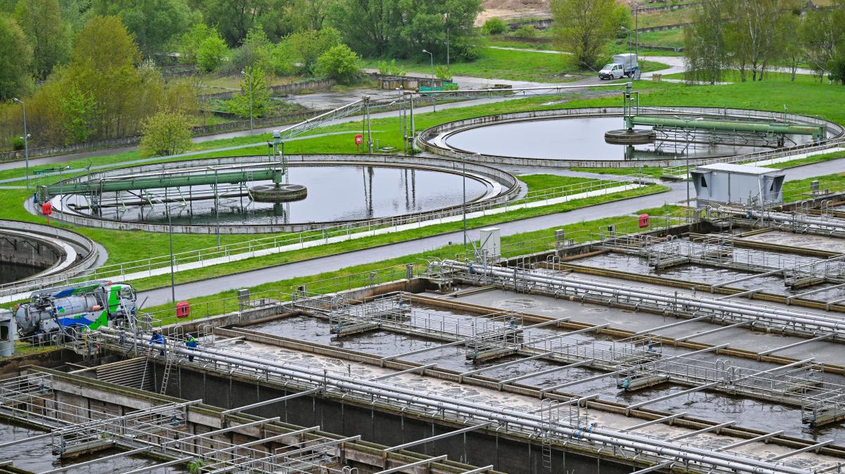 weitere-st-dte-betroffen-wie-gef-hrlich-sind-die-polioviren-in-unserem-abwasser