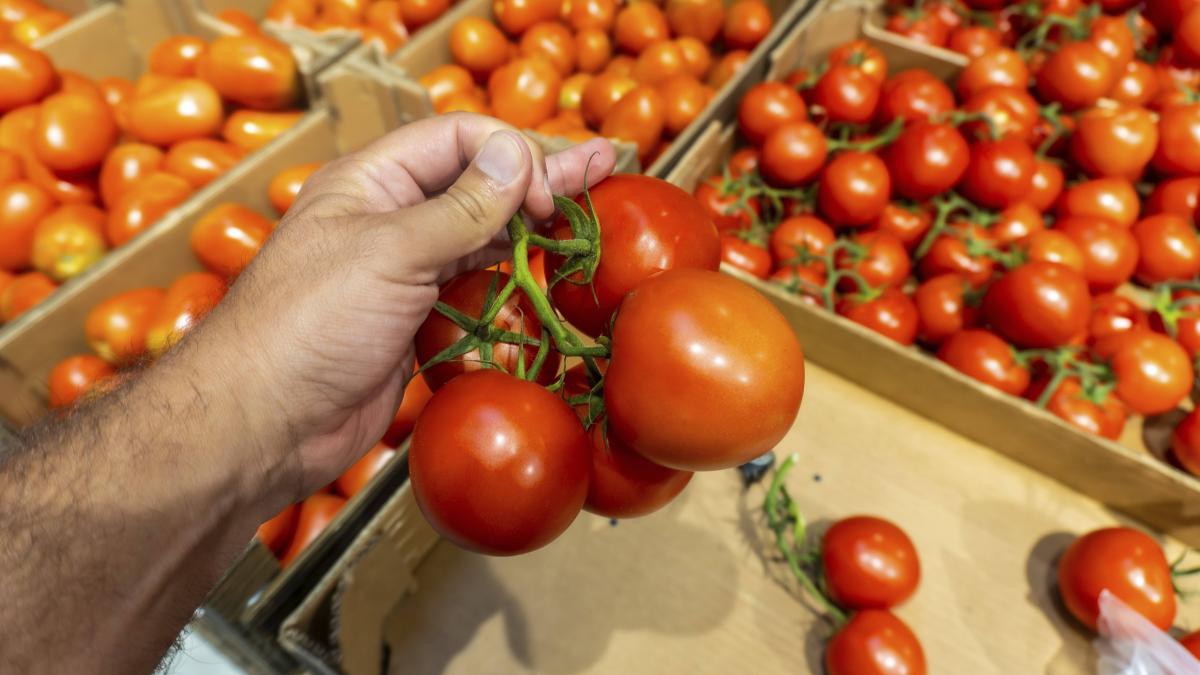 Warum-Sie-den-Tomatenstrunk-lieber-nicht-mitessen-sollten