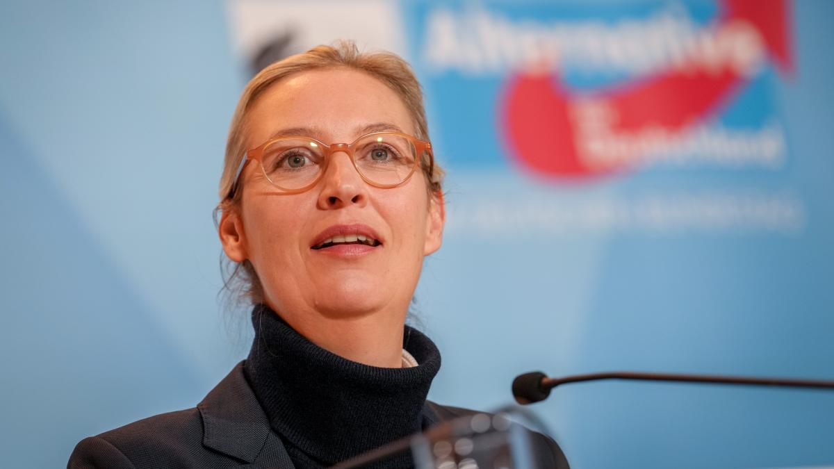 afd-chefin-weidel-trifft-sich-mit-musk-zum-online-gespr-ch-um-dieses-thema-soll-es-gehen