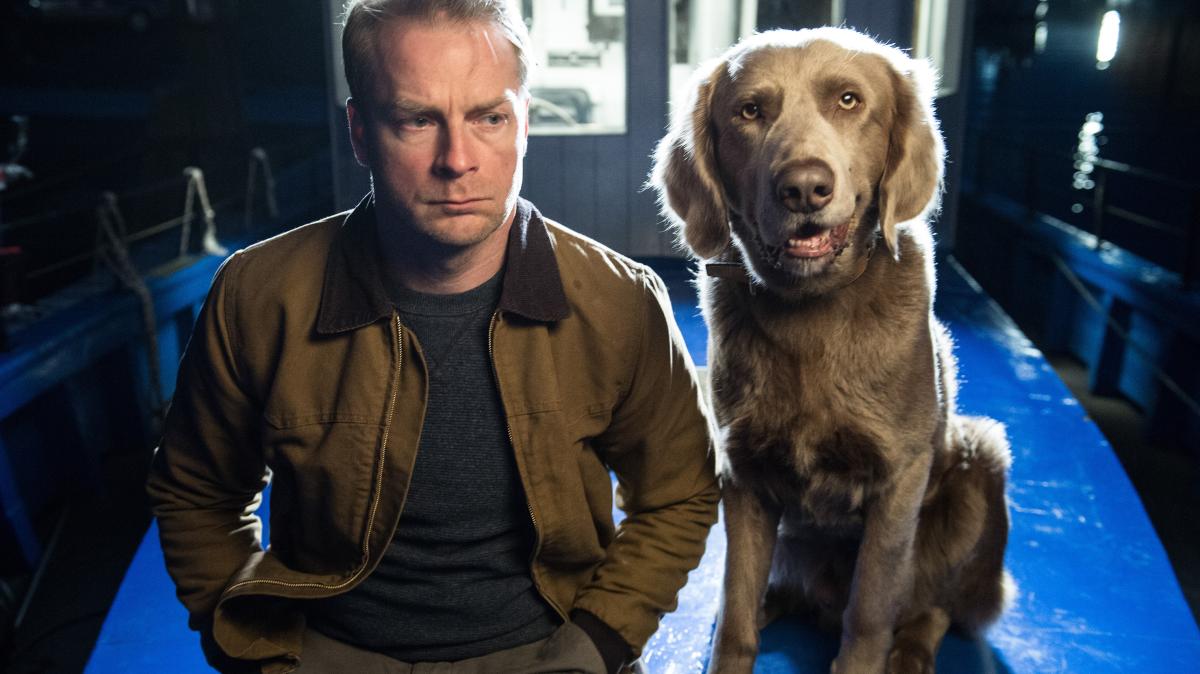 Nord bei Nordwest: Ist Holly der Hund von Hinnerk Schönemann?