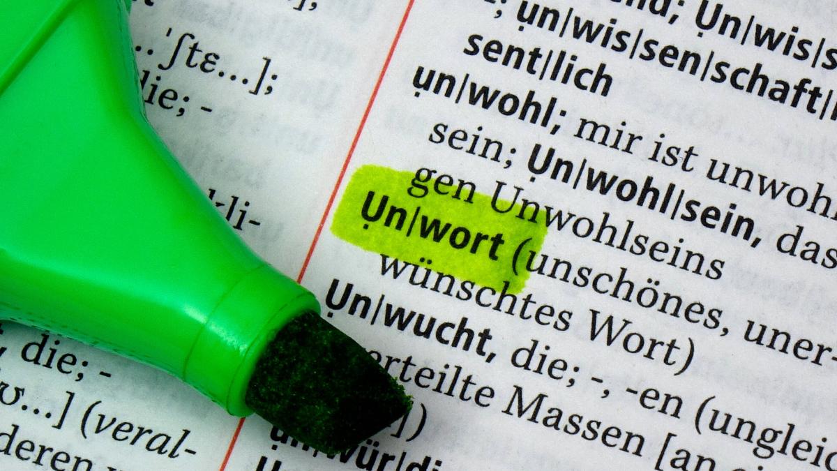 Von-Biodeutsch-bis-Remigration-Das-waren-die-Unw-rter-der-vergangenen-Jahre