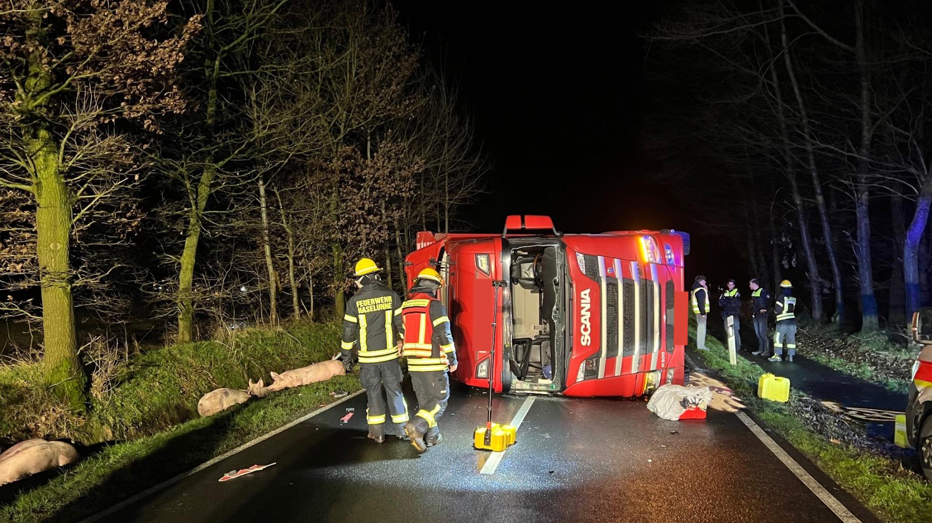 Zaključene preiskave o zlorabah živali v Nemčiji, sumi tudi v bavarski klavnici