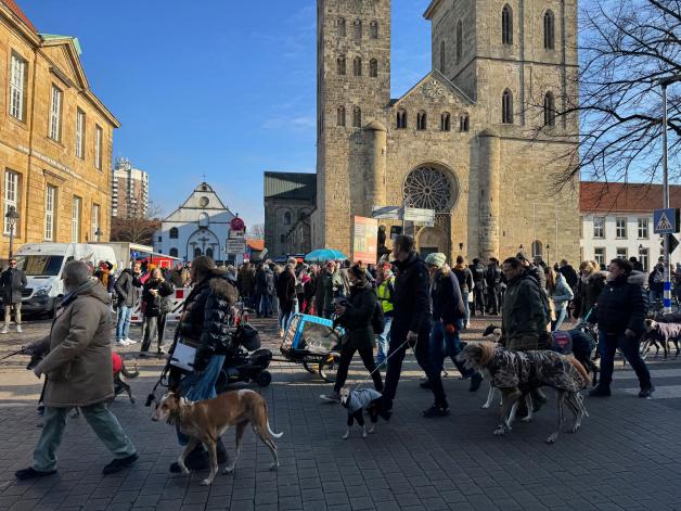 ZDF-„Heute Show“ filmt Mathias Middelberg (CDU) in Osnabrück