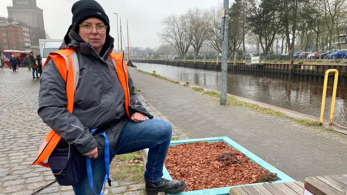 Am Hafen Elmshorn Jetzt klauen sie schon Blumen aus den Beeten