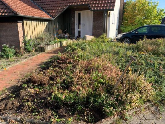So hat Familie Ferderer aus Belm ihren verwandelt