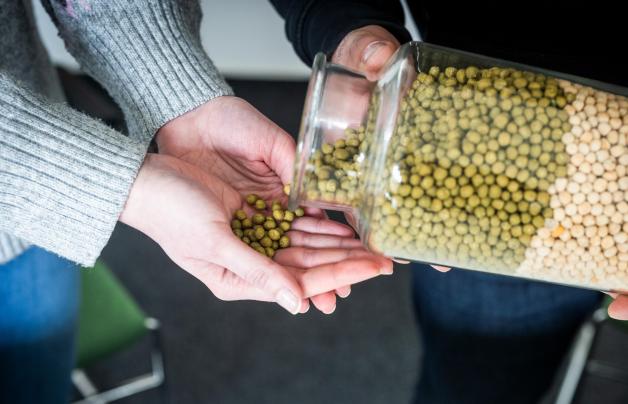 Bissendorfer Firma Green Mundo verkauft besonderes Saatgut