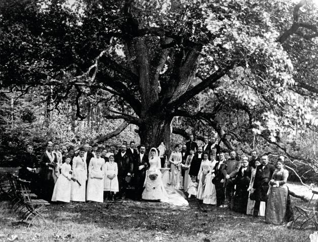 Happy End: The wedding couple under the oak of the groom in Dodau.