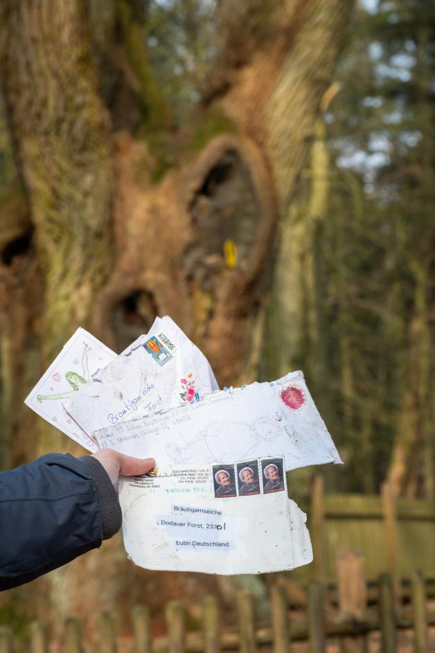 Letters and postcards from all over the world can almost always be found in the knight of the oak.