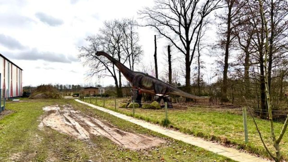 Bullermeck am Alfsee wird um Außenbereich mit beweglichen Dinos erweitert